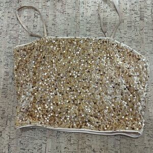 Sequin Embellished Beige Crop Top